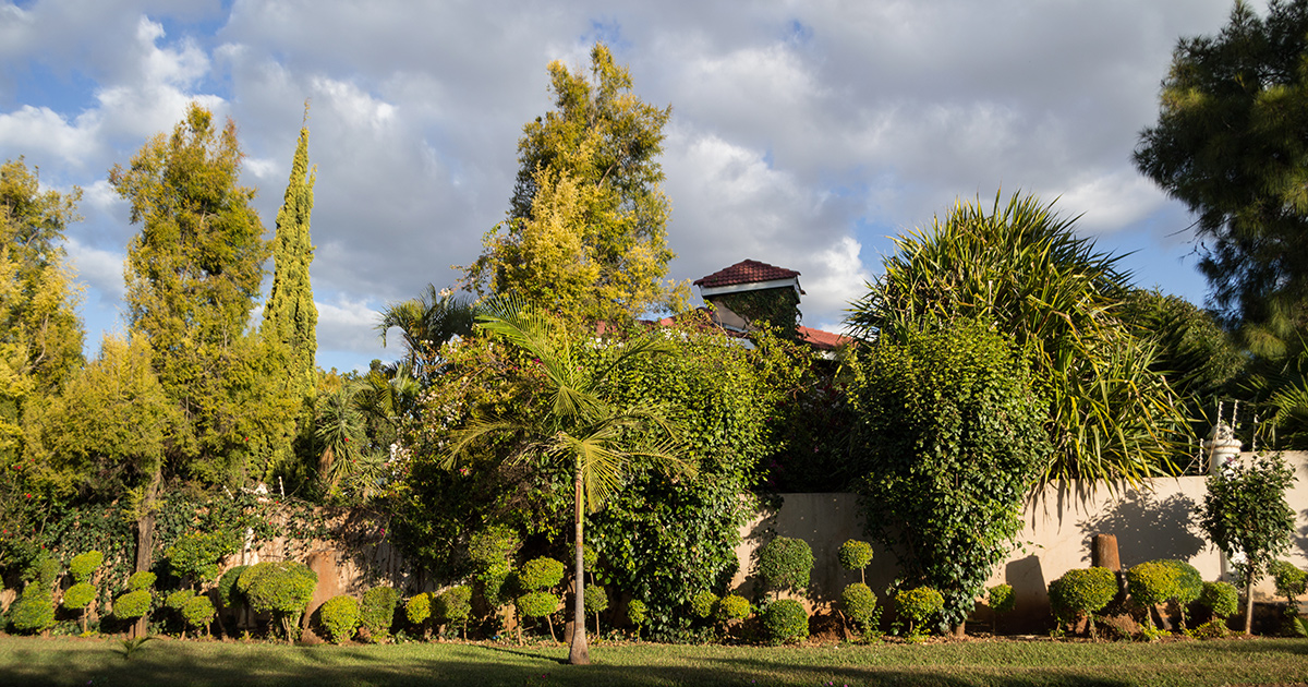 Lusaka