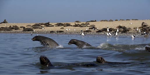 Alquiler de autocaravanas Walvis Bay
