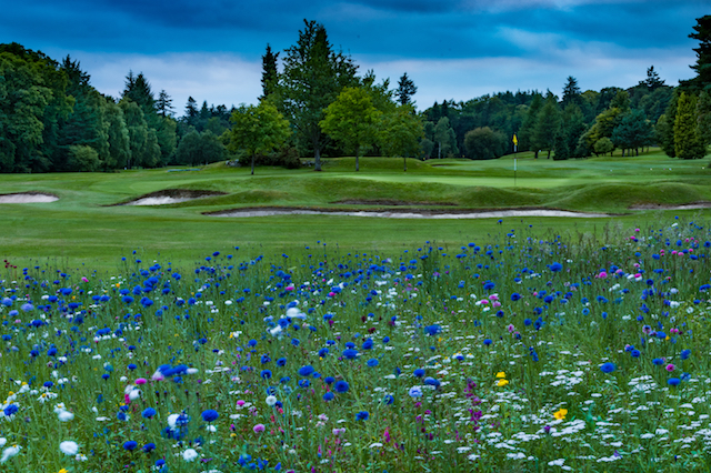 Campos de Golf en Gran Bretaña Día 1: Aberdeen, Escocia