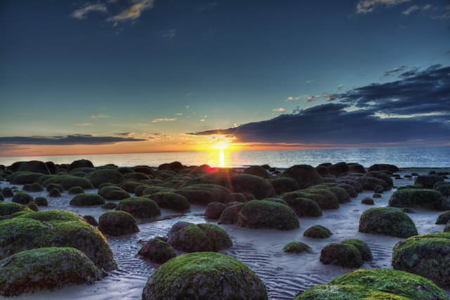 Resultado de imagen para Sendero de la costa de Norfolk