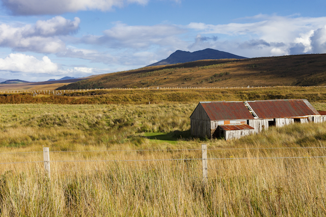 Road trip en las Highlands, día 3: WestKnockbain y Muckernich Wood