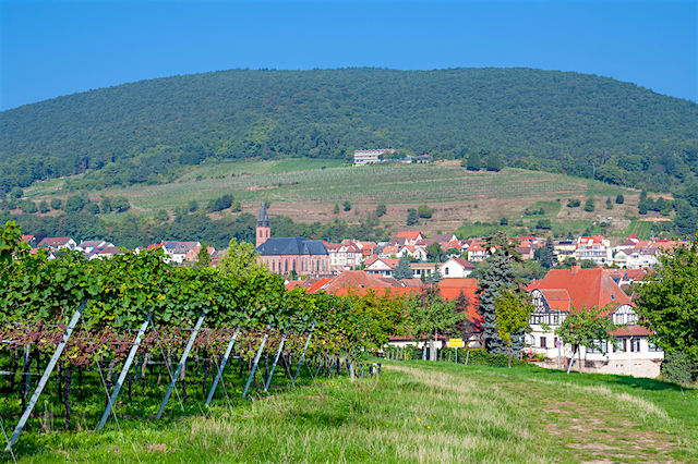 Road trip ruta del vino alemán, día 2 - Circuito de Deidesheim a Sankt Martin