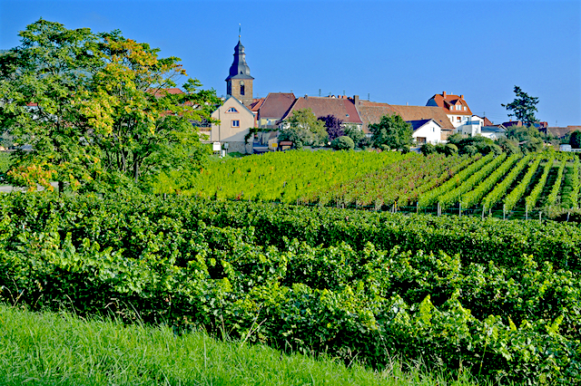 Road trip ruta del vino alemán, día 3 - Trayecto de Sankt Martin a Bad Bergzabern